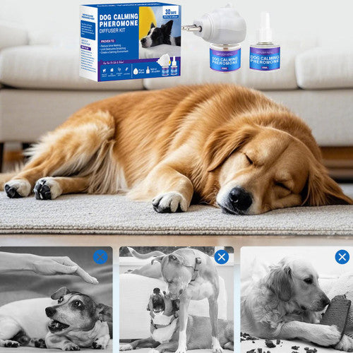 Dog Calming Diffuseur Anti-Stress Naturel